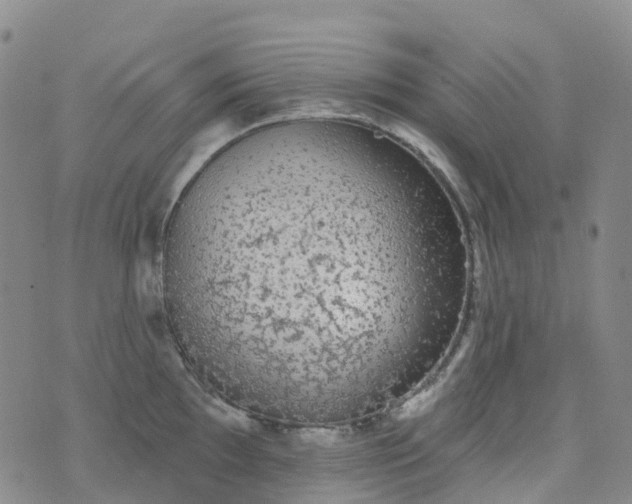 X0000076421097200610202214