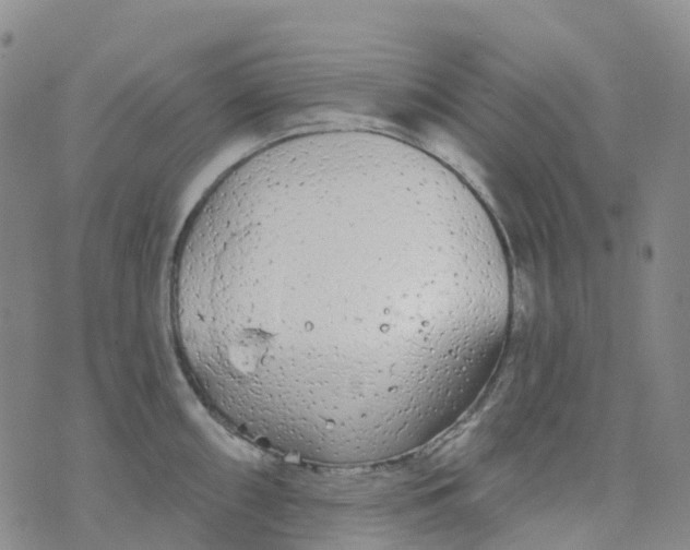 X0000076421098200610202214