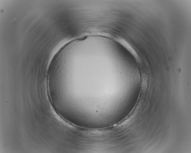 X0000076421100200610202214