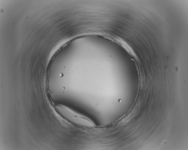 X0000076421101200610202214