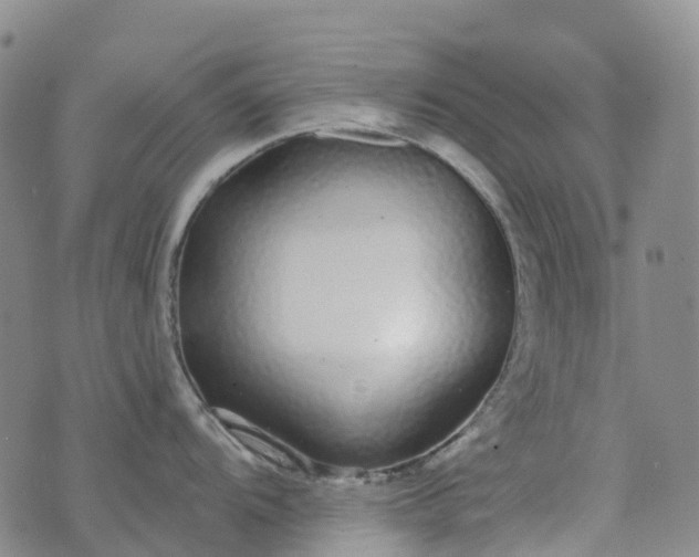 X0000076421104200610202214