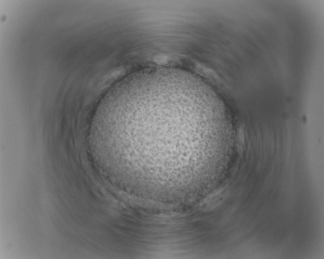 X0000076421105200610202213