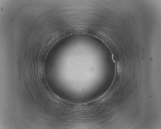 X0000076421107200610202213