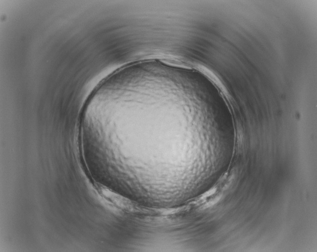 X0000076421149200610202213