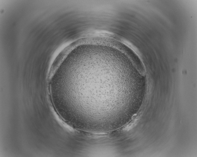 X0000076421152200610202214