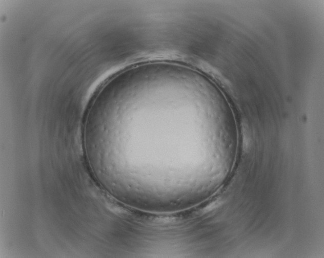 X0000076421174200610202212