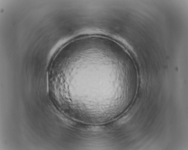 X0000076421175200610202212