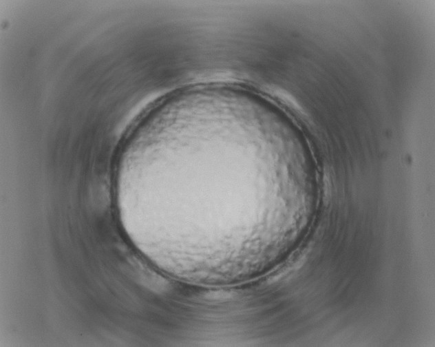 X0000076421212200610202211