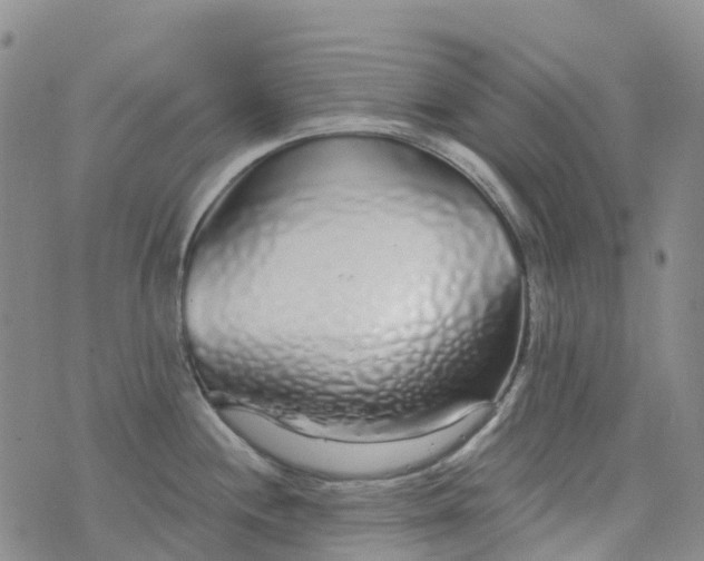 X0000076421244200610202212