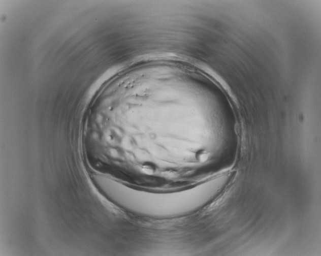 X0000076421245200610202212
