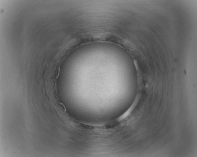 X0000076421249200610202211