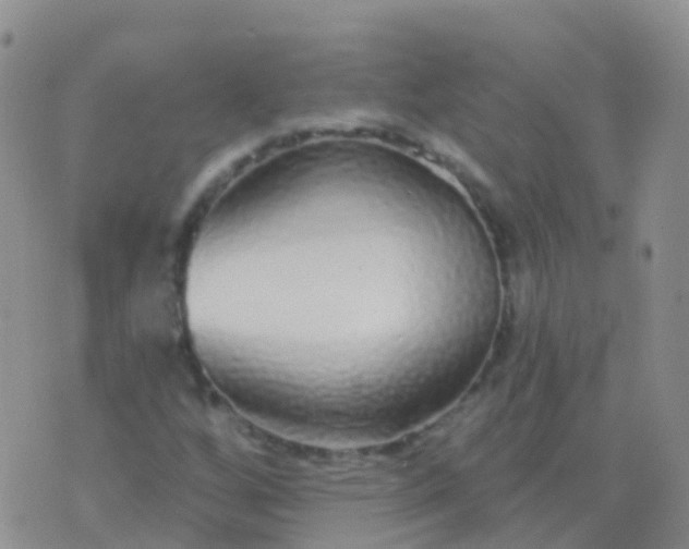 X0000076421256200610202211