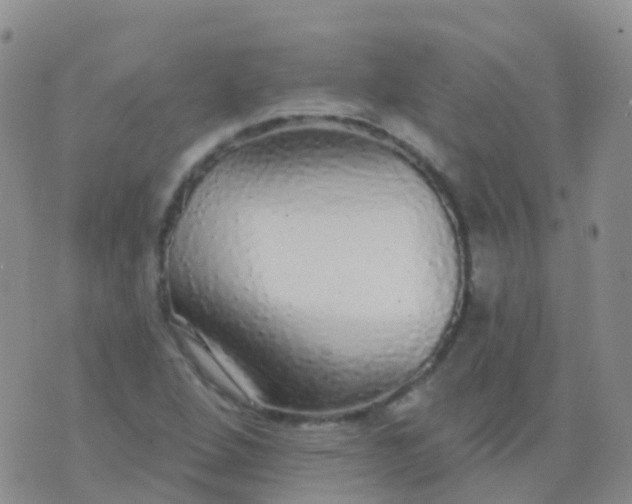 X0000076421264200610202211