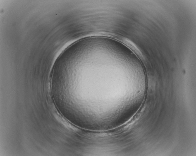 X0000076421292200610202210