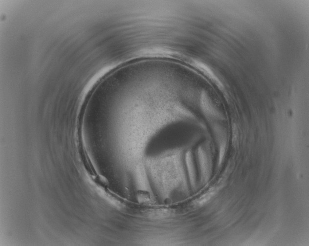 X0000076421331200610202210