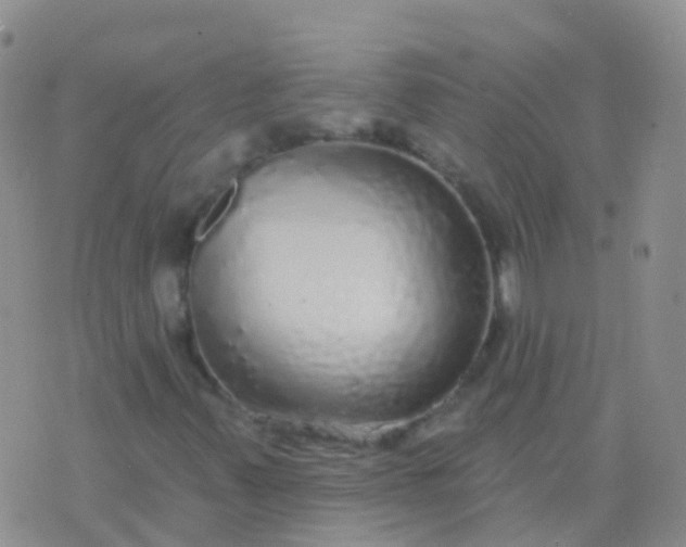 X0000076421347200610202210