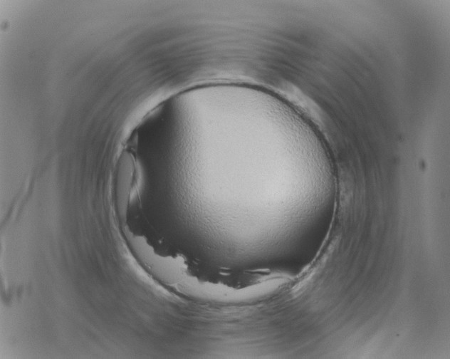 X0000076421382200610202209