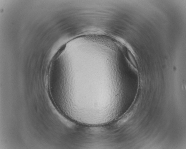 X0000076421383200610202209