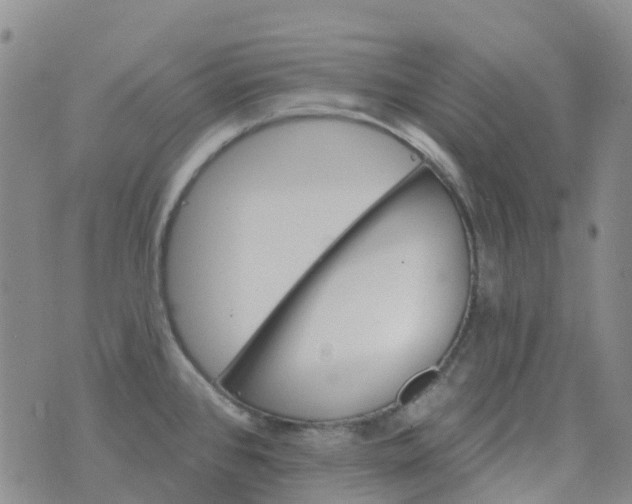 X0000076421384200610202209