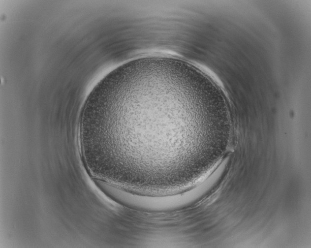 X0000076421391200610202209