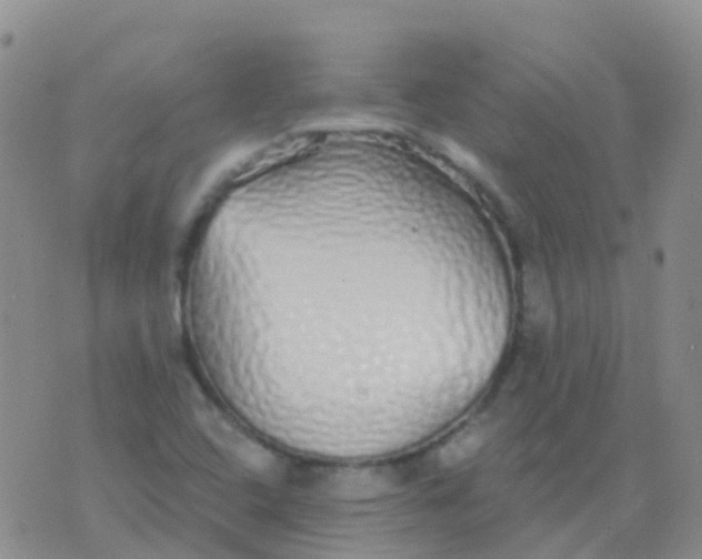 X0000076421408200610202208