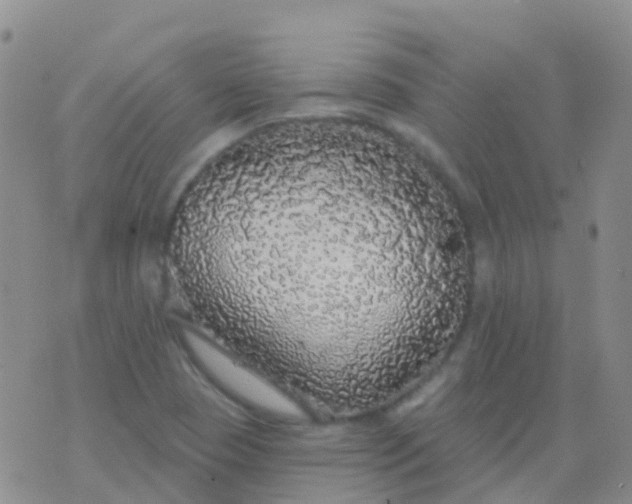 X0000076421409200610202208