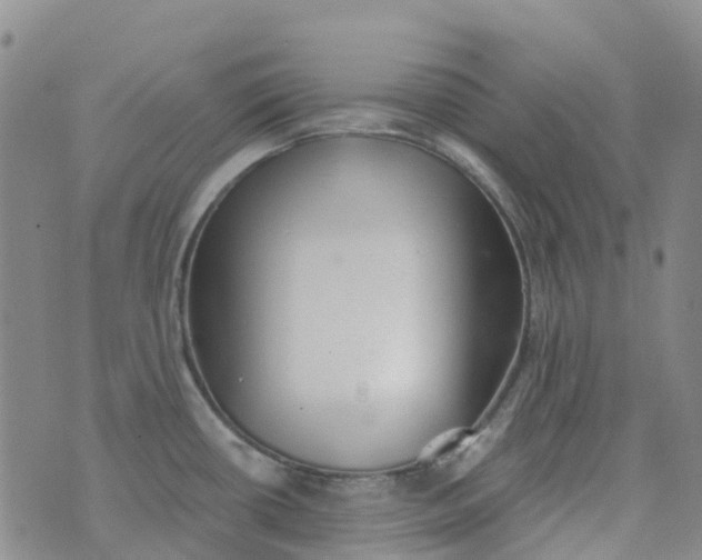 X0000076421434200610202209