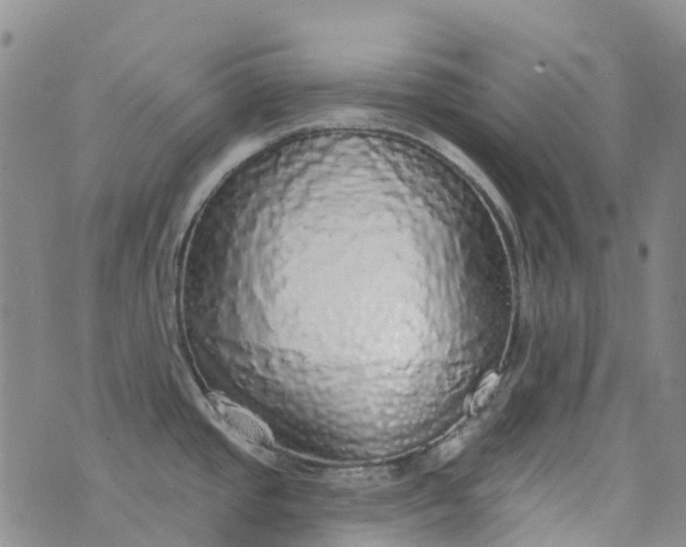 X0000076421437200610202209