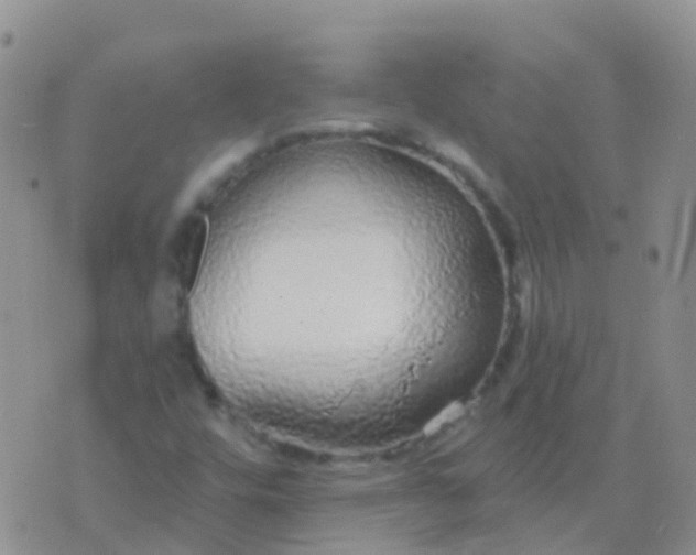 X0000076421448200610202208