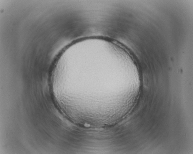 X0000076421452200610202208