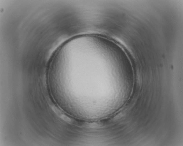 X0000076421460200610202208