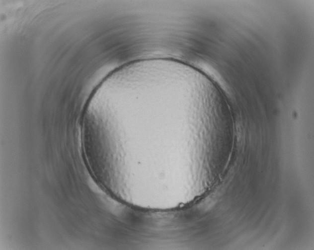 X0000076421476200610202207