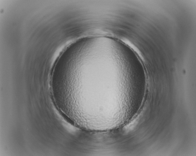 X0000076421477200610202207