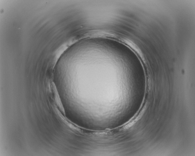 X0000076421481200610202207