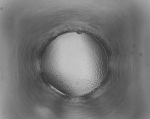 X0000076421490200610202207