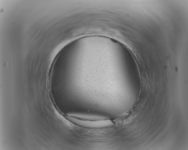 X0000076421527200610202207
