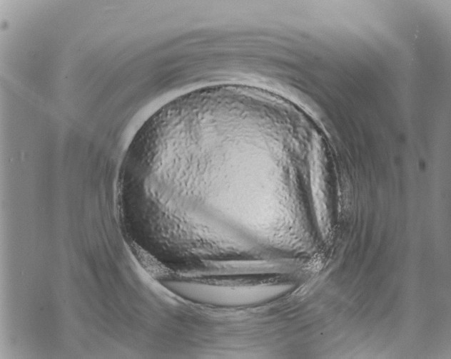 X0000076421535200610202207