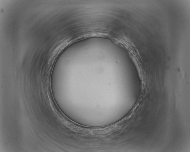 X0000076420001200610271720