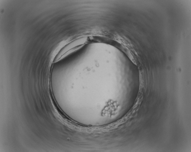 X0000076420003200610271720