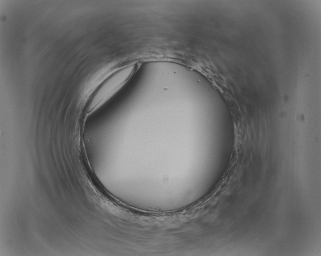 X0000076420005200610271720