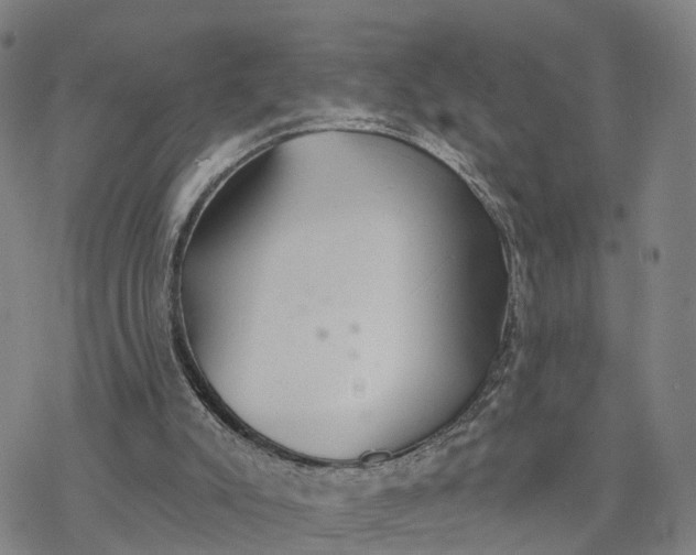 X0000076420007200610271720