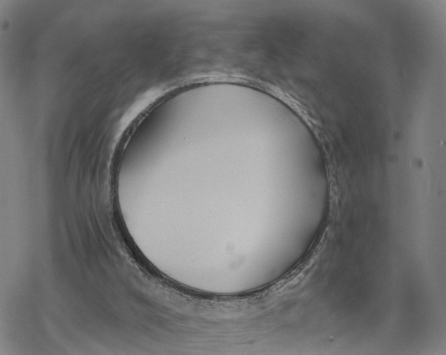 X0000076420008200610271720