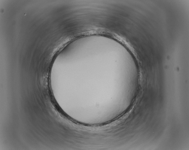 X0000076420010200610271720