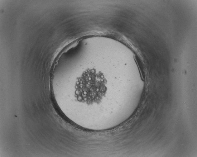 X0000076420011200610271719