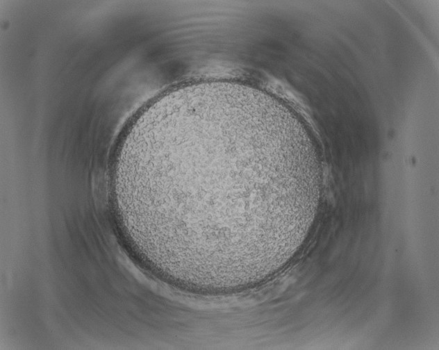 X0000076420012200610271719