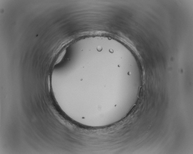 X0000076420013200610271719