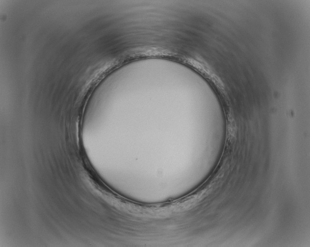 X0000076420014200610271719