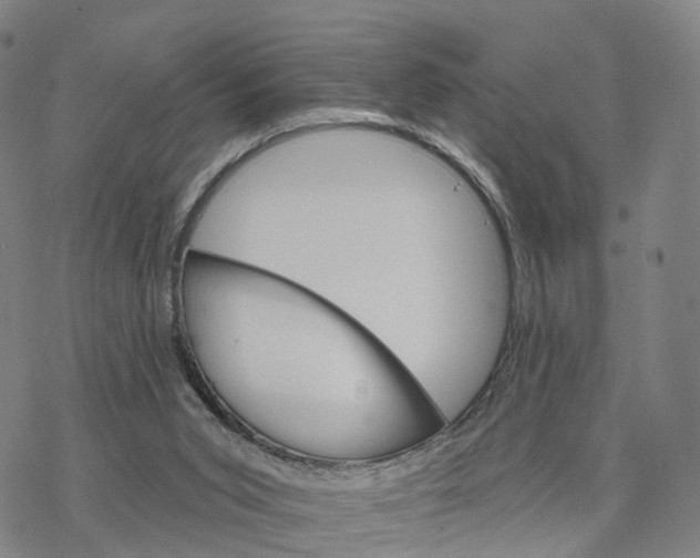 X0000076420015200610271719