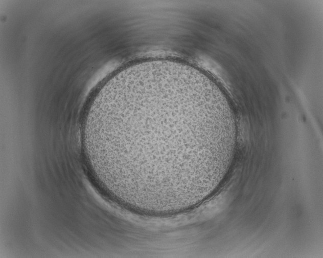 X0000076420016200610271719