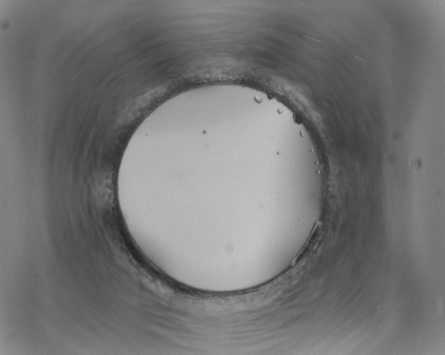 X0000076420017200610271719